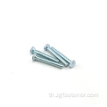 Blue White สังกะสีเกรด 4.8 hex bolts din933